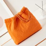 Chanel 22 MEDIUM HANDBAG Canvas LB14535 (6)