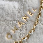 Chanel 22 MEDIUM HANDBAG Shearling Lambskin LB15668 (5)