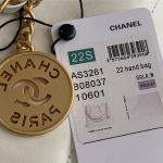 Chanel 22 MEDIUM HANDBAG Shiny Calfskin LB10346 (4)