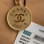 Chanel 22 MEDIUM HANDBAG Shiny Calfskin LB11231 (3)