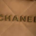Chanel 22 MEDIUM HANDBAG Shiny Calfskin LB11231 (5)