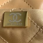 Chanel 22 MEDIUM HANDBAG Shiny Calfskin LB11231 (6)