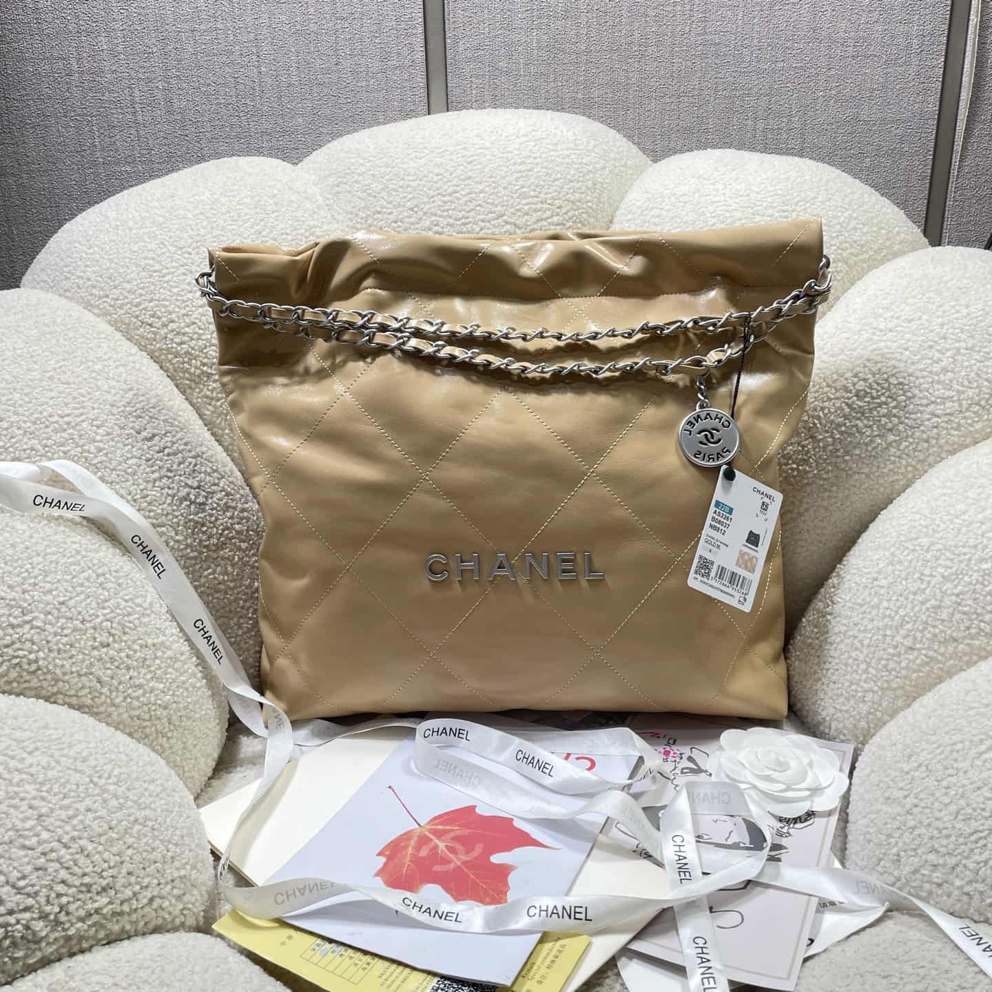 Chanel 22 MEDIUM HANDBAG Shiny Calfskin LB16307 (1)