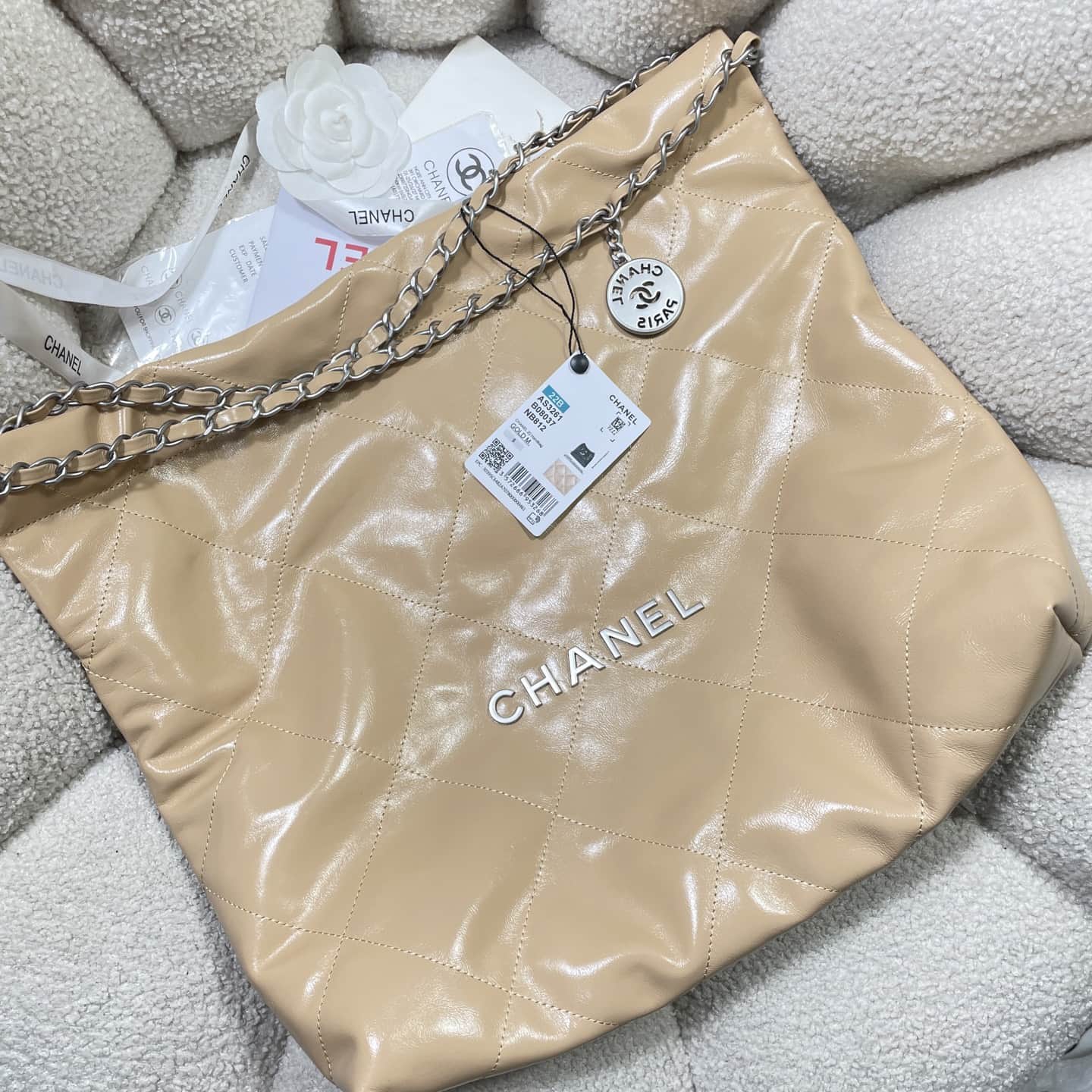 Chanel 22 MEDIUM HANDBAG Shiny Calfskin LB16307 (4)