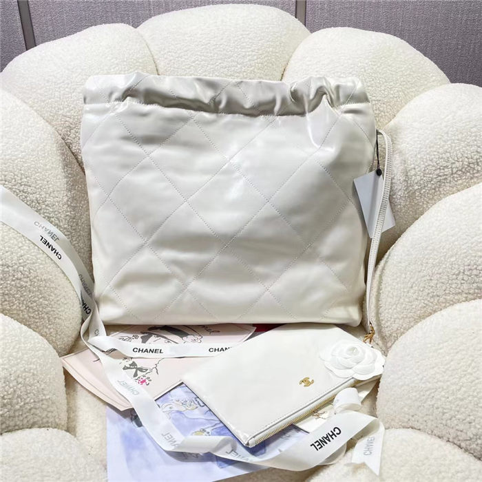 Chanel 22 MEDIUM HANDBAG Shiny Calfskin LB9808 (2)