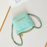 Chanel 22 MINI HANDBAG Canvas14511 (6)