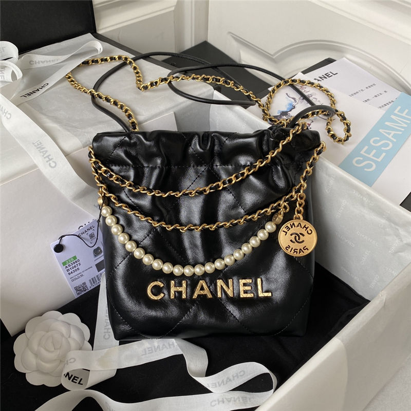 Chanel 22 MINI HANDBAG Shiny Calfskin LB11216 (1)