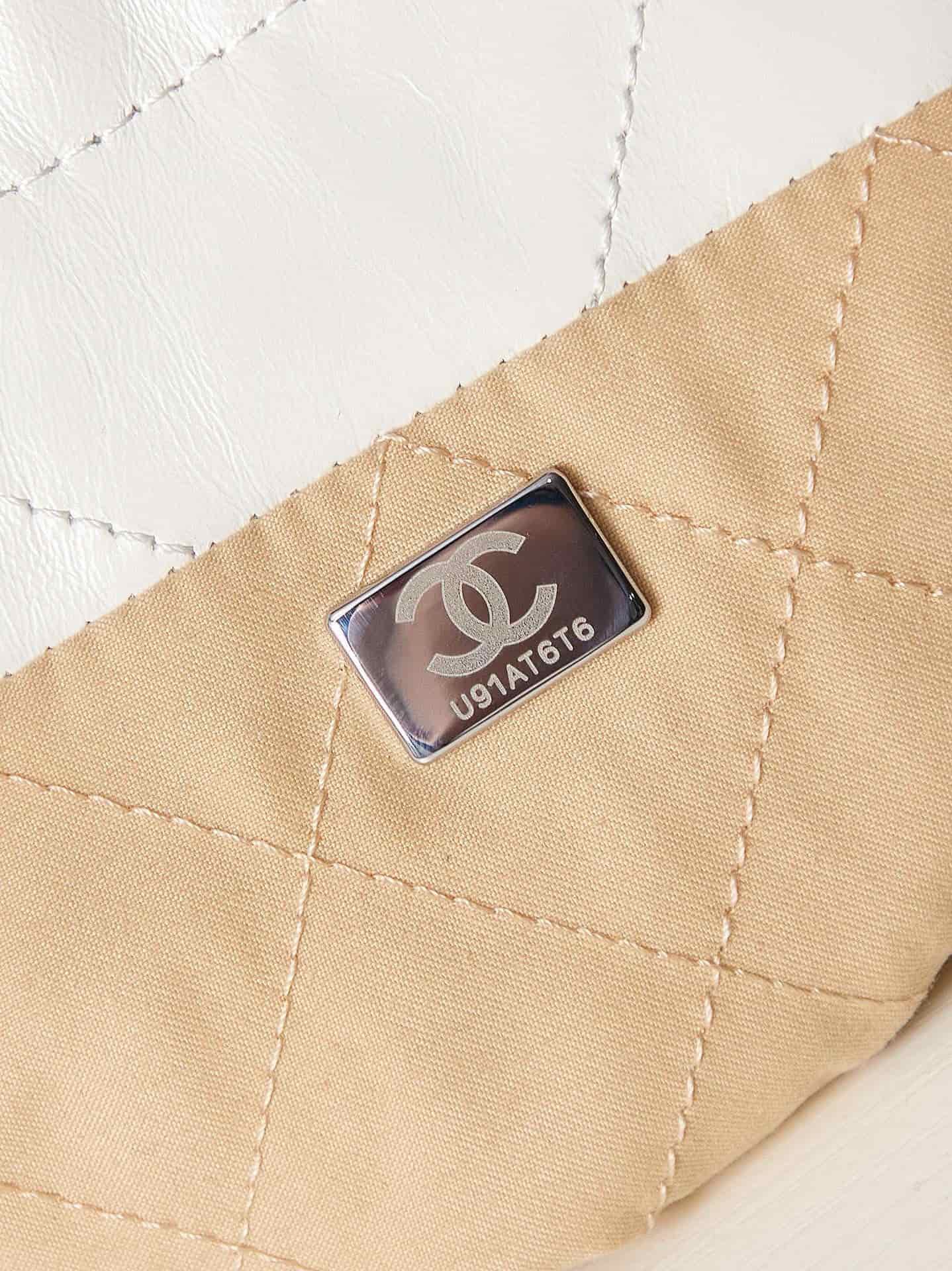 Chanel 22 MINI HANDBAG Shiny Calfskin LB12843 (2)