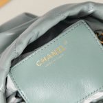 Chanel 22 MINI HANDBAG Shiny Calfskin LB12844 (6)