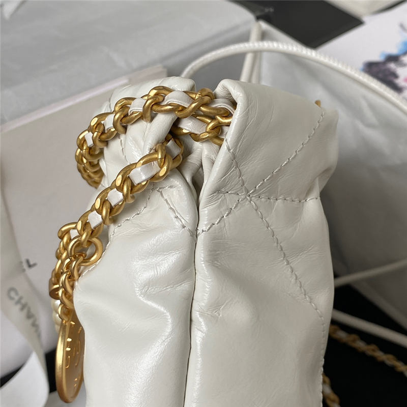 Chanel 22 MINI HANDBAG Shiny Calfskin LB12851 (6)