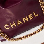 Chanel 22 MINI HANDBAG Shiny Calfskin LB12853 (3)
