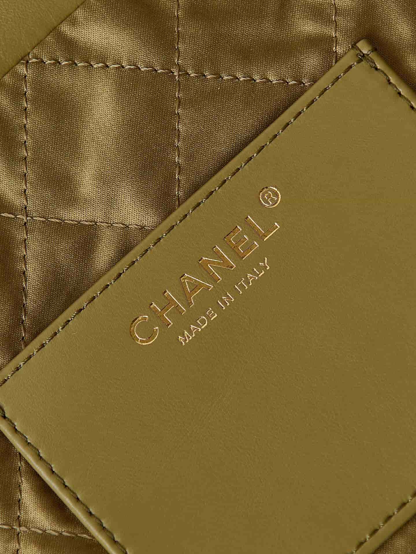 Chanel 22 MINI HANDBAG Shiny Calfskin LB12907 (2)