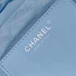 Chanel 22 MINI HANDBAG Shiny Calfskin LB12909 (2)