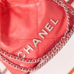 Chanel 22 MINI HANDBAG Shiny Calfskin LB13319 (2)