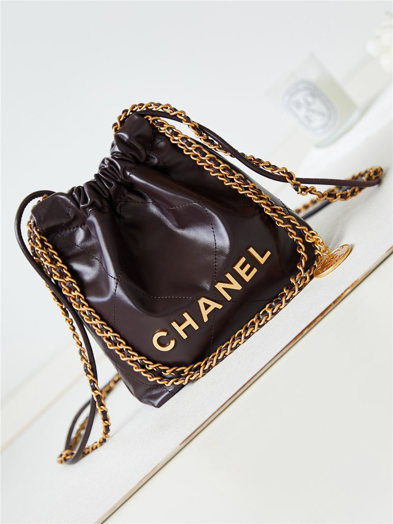 Chanel 22 MINI HANDBAG Shiny Calfskin LB13320 (1)