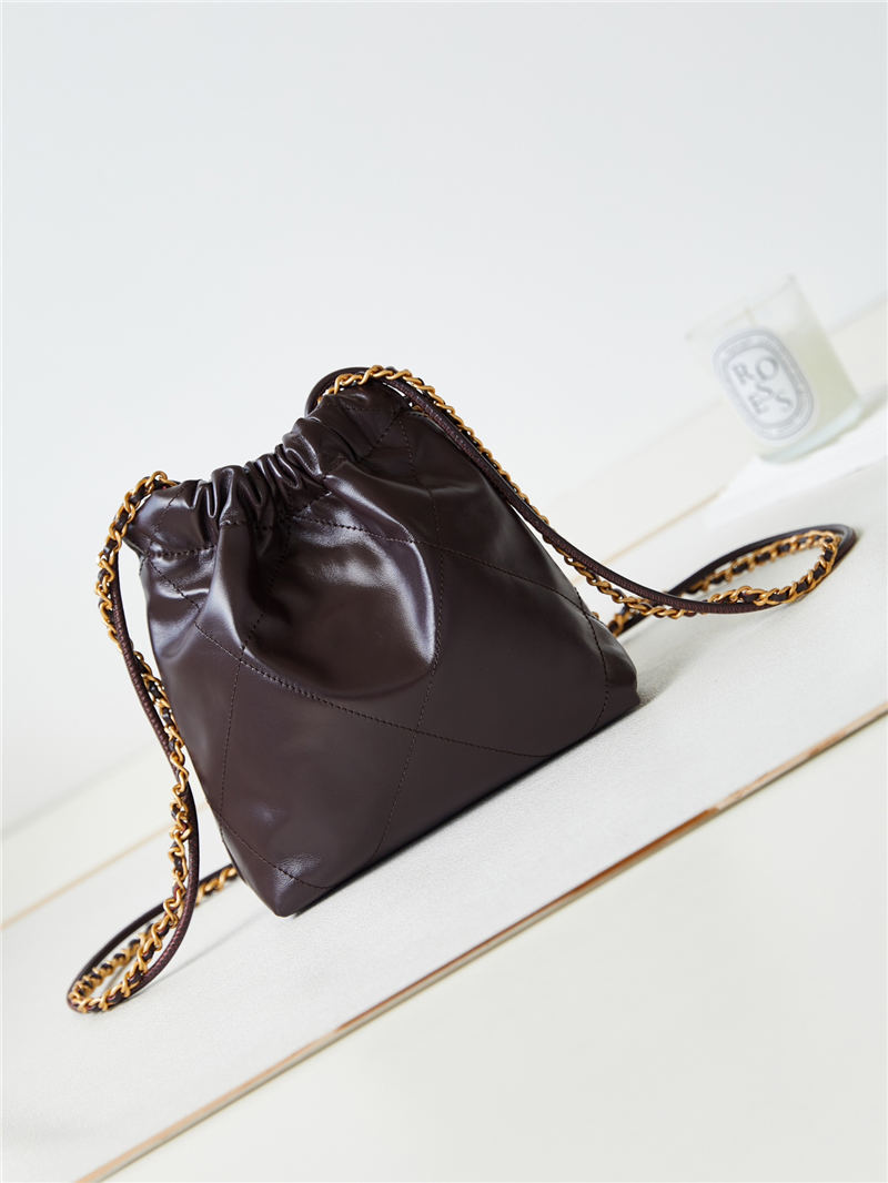 Chanel 22 MINI HANDBAG Shiny Calfskin LB13320 (3)