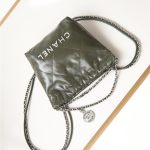 Chanel 22 MINI HANDBAG Shiny Calfskin LB13321 (6)