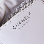 Chanel 22 MINI HANDBAG Shiny Calfskin LB13326 (2)