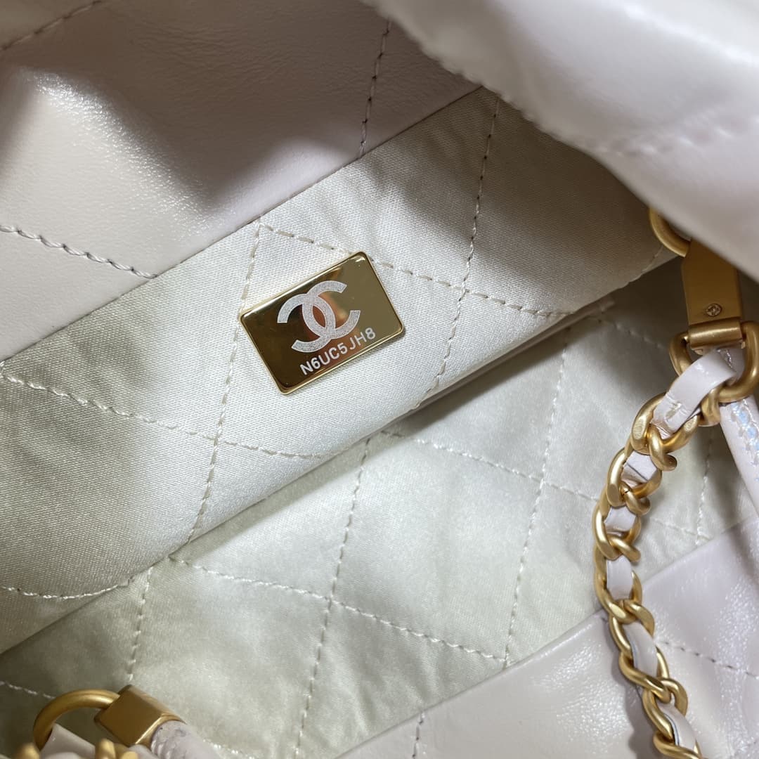 Chanel 22 MINI HANDBAG Shiny Calfskin LB16025 (2)