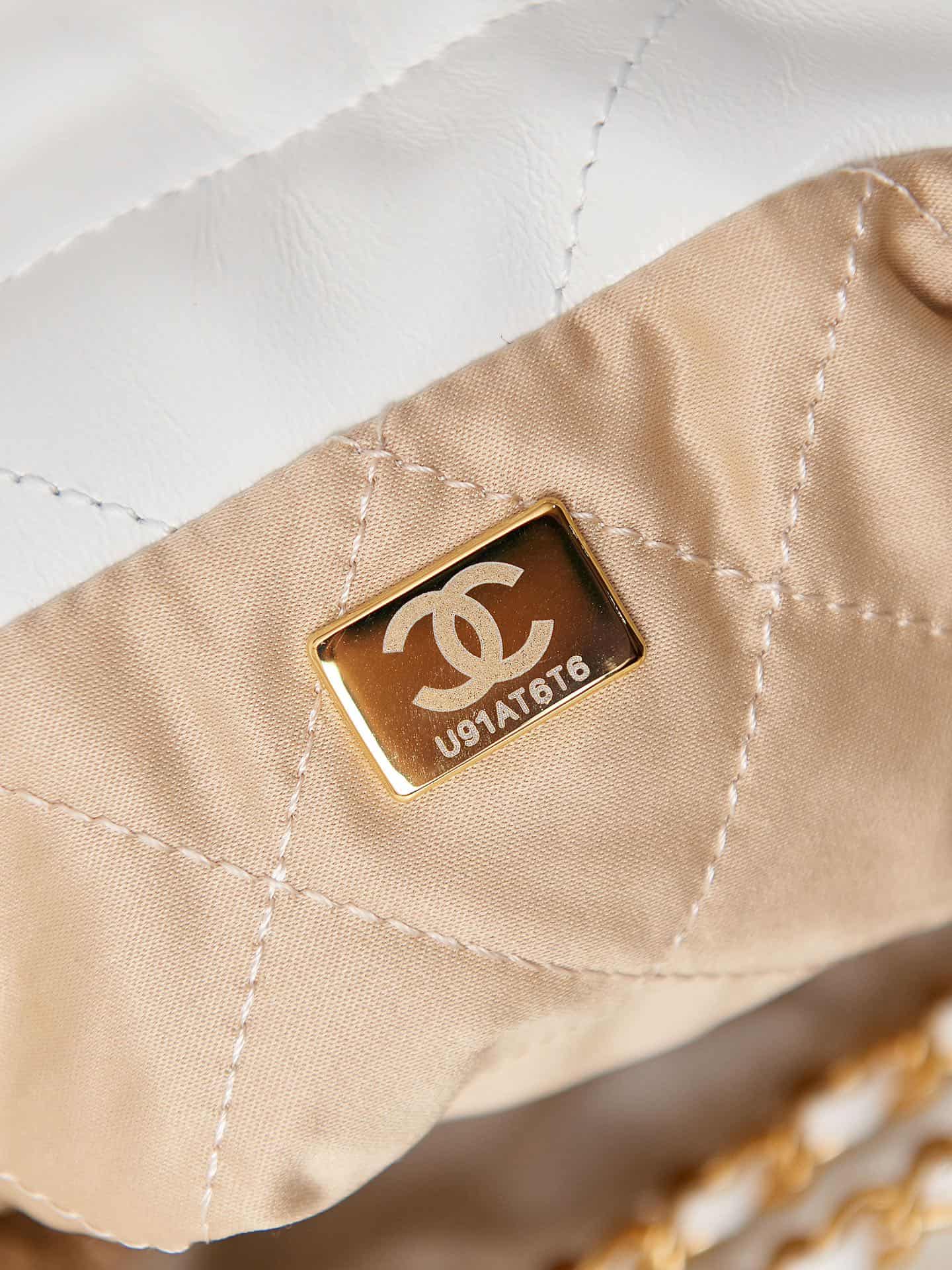 Chanel 22 MINI HANDBAG Shiny Calfskin LB8475 (2)