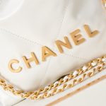 Chanel 22 MINI HANDBAG Shiny Calfskin LB8475 (3)