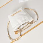 Chanel 22 MINI HANDBAG Shiny Calfskin LB8475 (6)