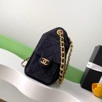 Chanel 25 Hobo Handbag Denim LB16676 (2)
