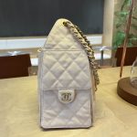 Chanel 25 Hobo Handbag Grained Calfskin LB1558 (4)