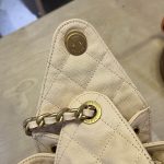 Chanel 25 Hobo Handbag Grained Calfskin LB1558 (5)