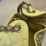 Chanel 25 Hobo Handbag Grained Calfskin LB1559 (5)