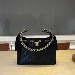 Chanel 25 Hobo Handbag Grained Calfskin LB1560 (1)