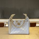 Chanel 25 Hobo Handbag Grained Calfskin LB1562 (1)