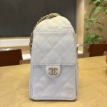 Chanel 25 Hobo Handbag Grained Calfskin LB1562 (4)