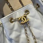Chanel 25 Hobo Handbag Grained Calfskin LB1562 (5)