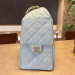 Chanel 25 Hobo Handbag Grained Calfskin LB1563 (4)