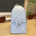 Chanel 25 Hobo Handbag Grained Calfskin LB1565 (4)