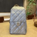 Chanel 25 Hobo Handbag Grained Calfskin LB1566 (4)