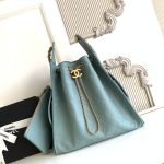 Chanel 25 Hobo Handbag Grained Calfskin LB21303 (1)