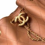 Chanel 25 Hobo Handbag Grained Calfskin LB21312 (4)