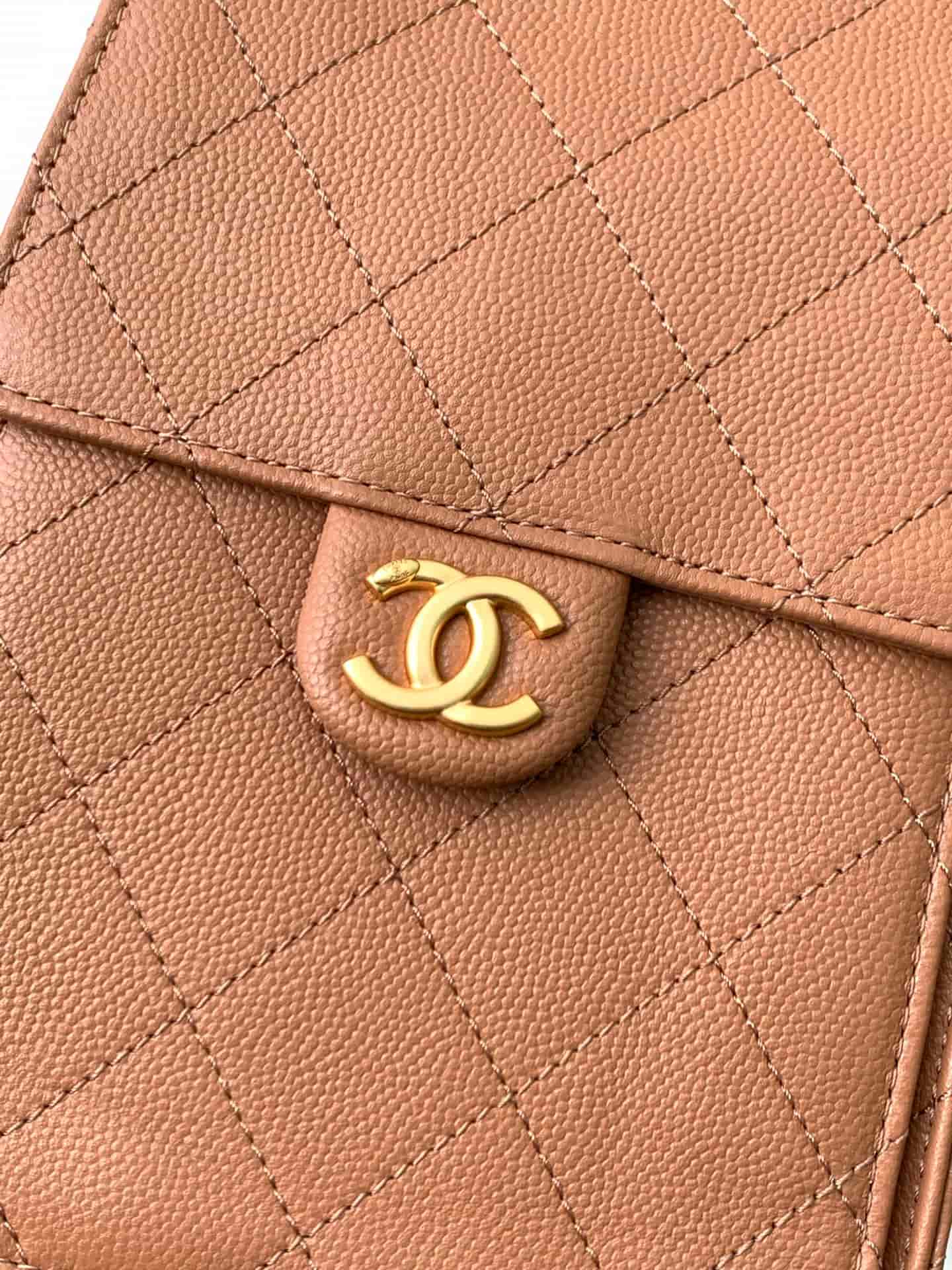 Chanel 25 Hobo Handbag Grained Calfskin LB21312 (5)
