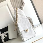 Chanel 25 Hobo Handbag Grained Calfskin LB21318 (4)