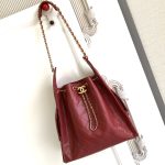 Chanel 25 Hobo Handbag Grained Calfskin LB21324 (2)