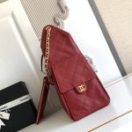 Chanel 25 Hobo Handbag Grained Calfskin LB21324 (4)