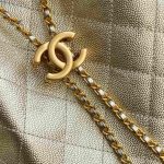 Chanel 25 Hobo Handbag Grained Calfskin LB21331 (4)