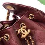 Chanel 25 Hobo Handbag Grained calfskin LB16665 (4)