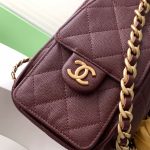 Chanel 25 Hobo Handbag Grained calfskin LB16665 (5)