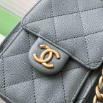 Chanel 25 Hobo Handbag Grained calfskin LB16666 (4)