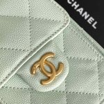 Chanel 25 Hobo Handbag Grained calfskin LB16668 (6)