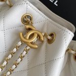 Chanel 25 Hobo Handbag Grained calfskin LB16669 (4)