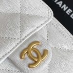 Chanel 25 Hobo Handbag Grained calfskin LB16669 (5)